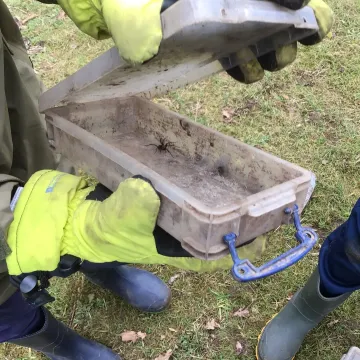 Forest schools