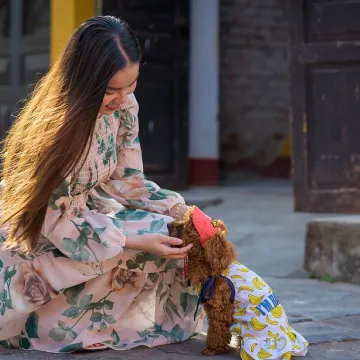 Girl, dog, light, people, happy, woman, friendship, nature, animal, person, cute, pampered, beautiful, model, pet, happiness, streets, dog, people, people, people, people, people, friendship