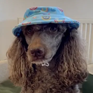 Screenshot 2025-03-27 At 20