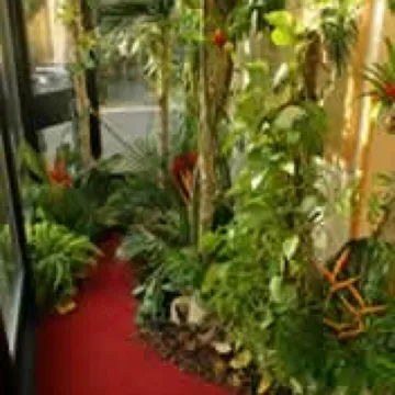 Floral Display Depicting a Rai