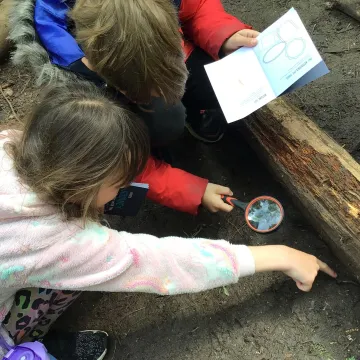 PGL 3