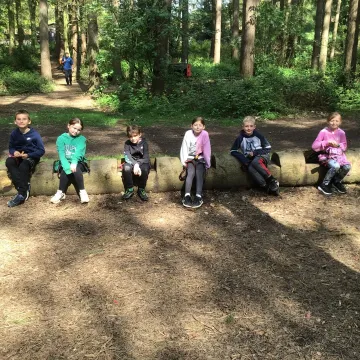 PGL 11