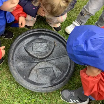 6.6
