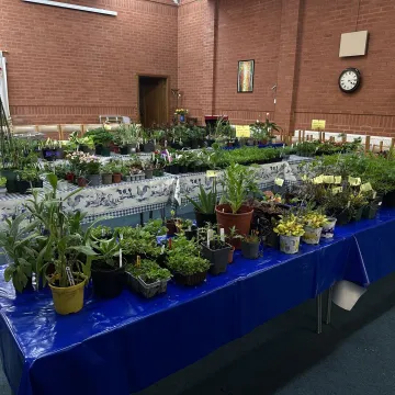 Plant Sale 2025 Preparations
