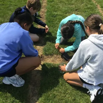 Soil2