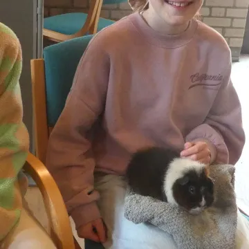 Guinea pig 2