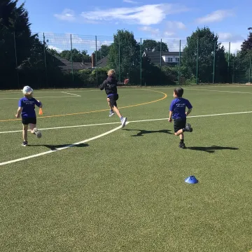 Cricket