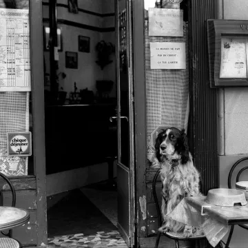 A warm Parisian cafe exterior with a cute dog sitting patiently beside a table. Black and white image.