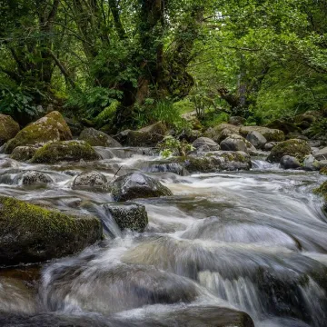Flowing river