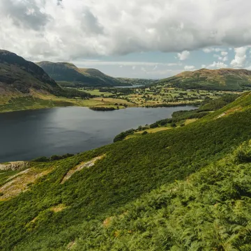 Lake and green fields