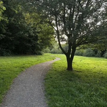 Tarvin Woodland July 2025 &ndash; Orchard