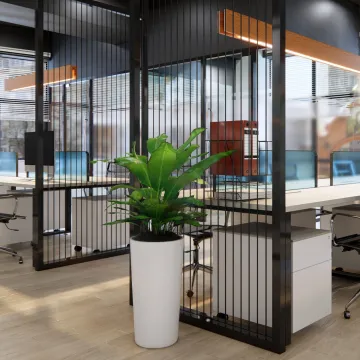 Office workstations with a large green plant