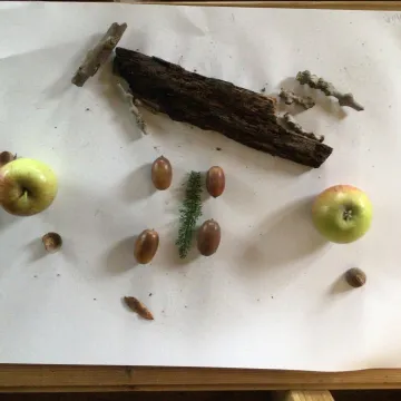 B8ba225d-Fe0d-480c-81c9-F51998ec98bd