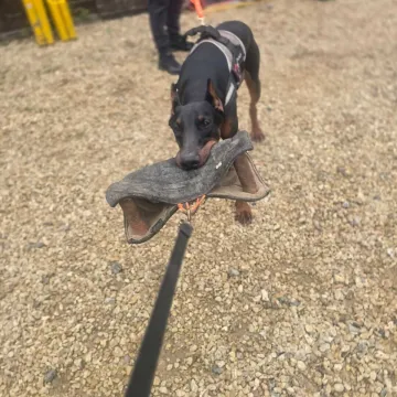 Whatsapp Image 2025-11-03 At 08