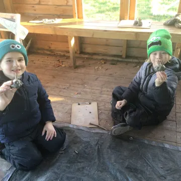 95fd15e2-0dda-42cb-B6d3-3e03272bcd67