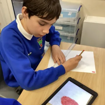 Y6 Pshe Finger Prints