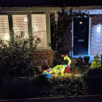 No 15 He Said He Was Bringing a Reindeer