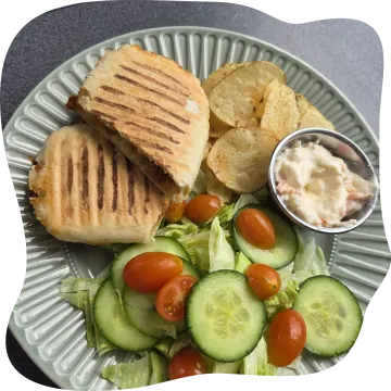 Grilled Sandwich and Salad Plate