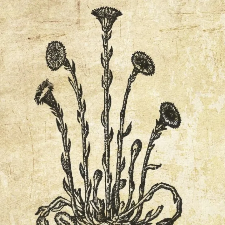 E9081b99-D160-4d73-8154-2fd0fbd28801_1_201_a