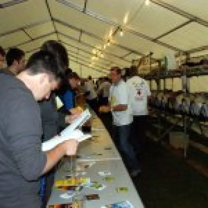 Beer Festival 15