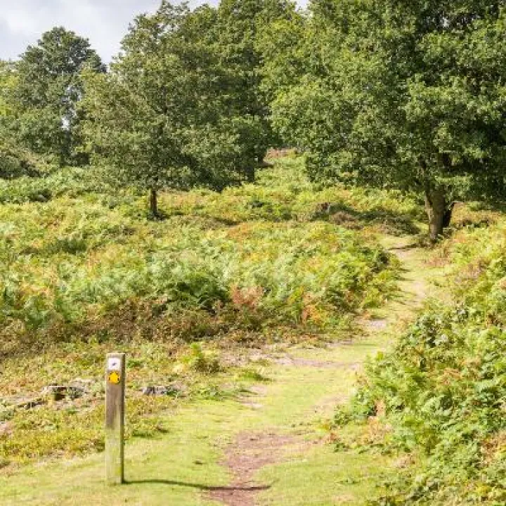 Maiden Castle in August 40