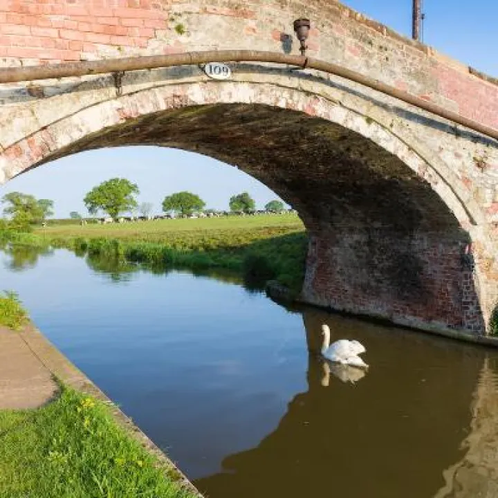 Bridge over the Shropshire Union Canal, Tiverton, Cheshire 2