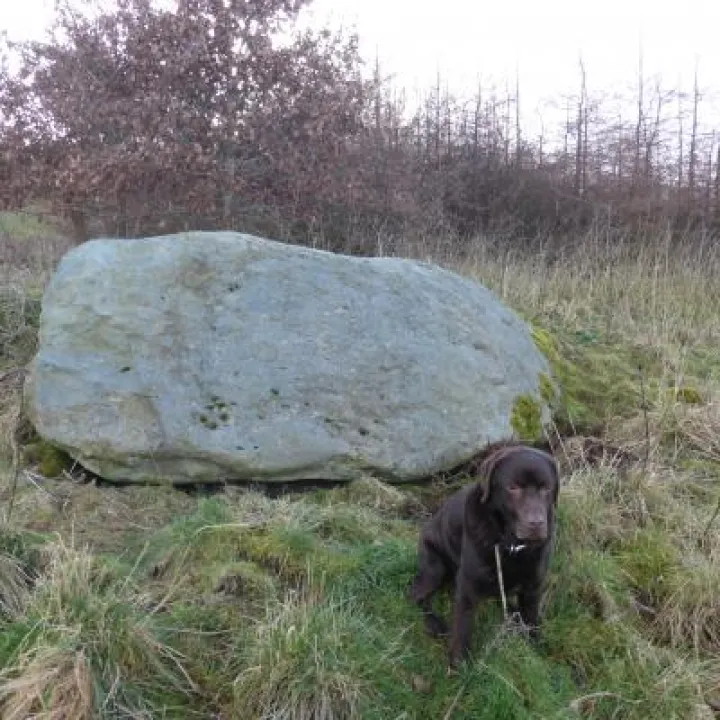 erratic near eddisbury 001