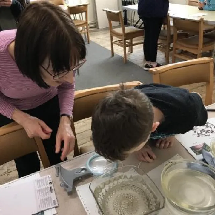 Looking for specimens