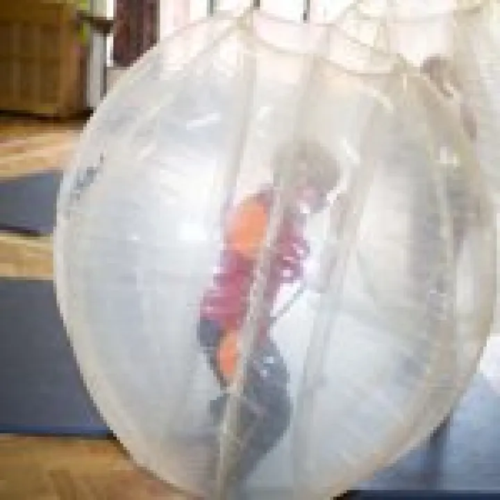 Zorb Ball 01