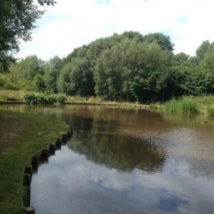 Cloggers Pool_190212