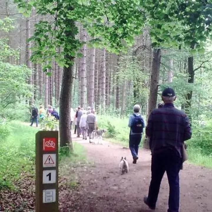 health walk photos 149 (2)