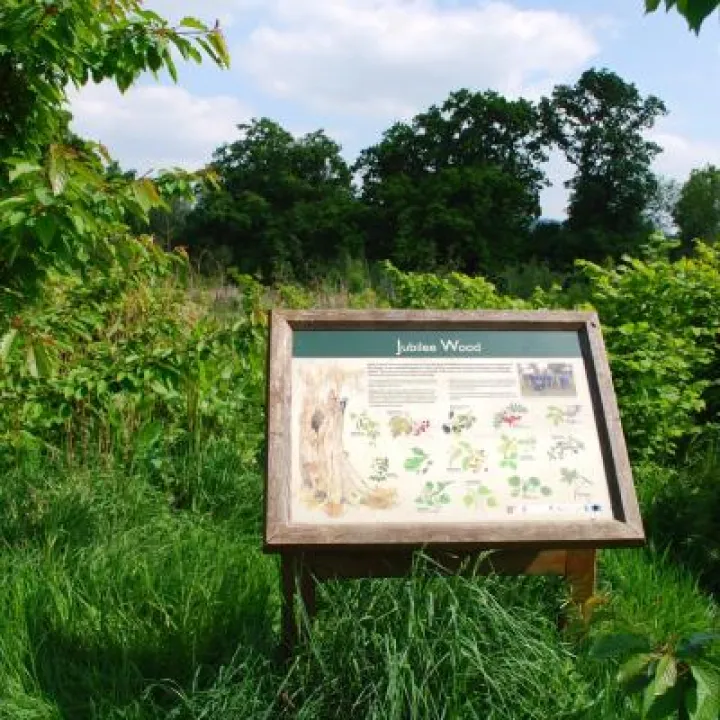 Wildlife Corridor Event