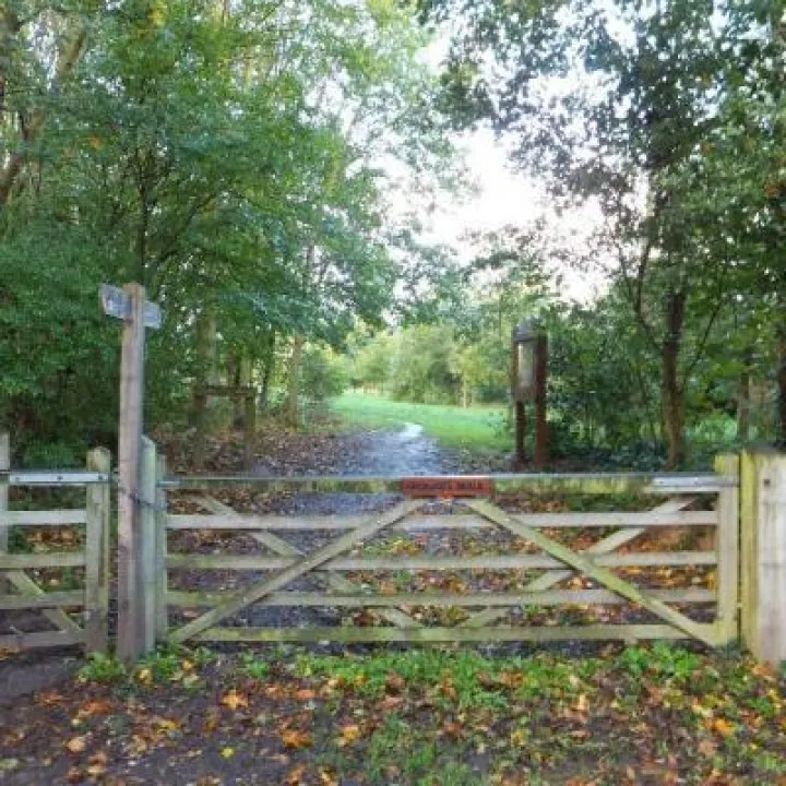 dog-walks-in-cheshire-Tarvin-Community-Woodland