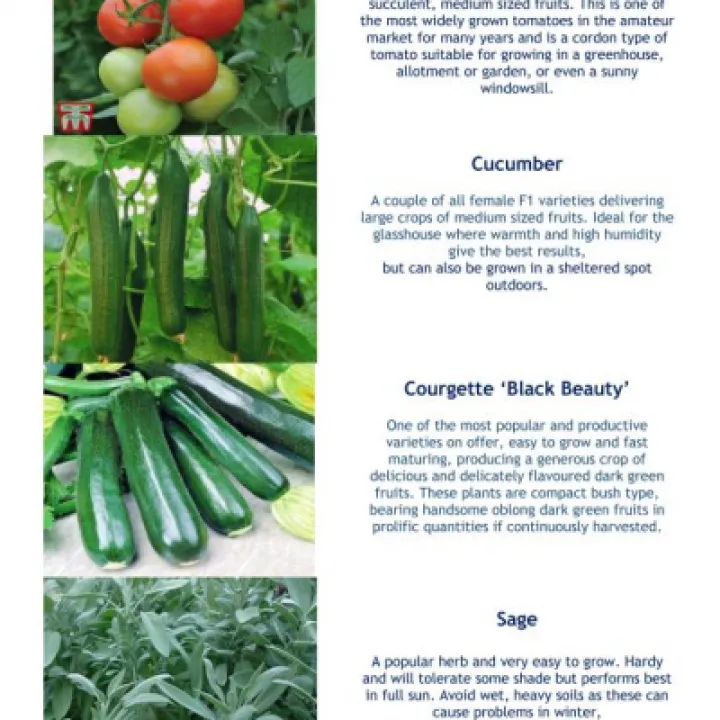 Plant Details 2020 Part 2  05-20_200511_page_003