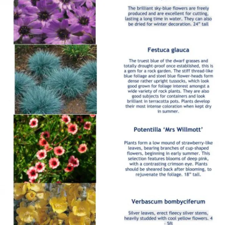 Plant Details 2020 Part 1 05-20_200511_page_002