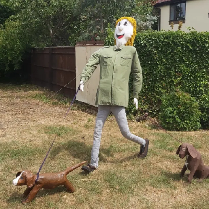 Image: 045 Domestic Service Not Another Walk