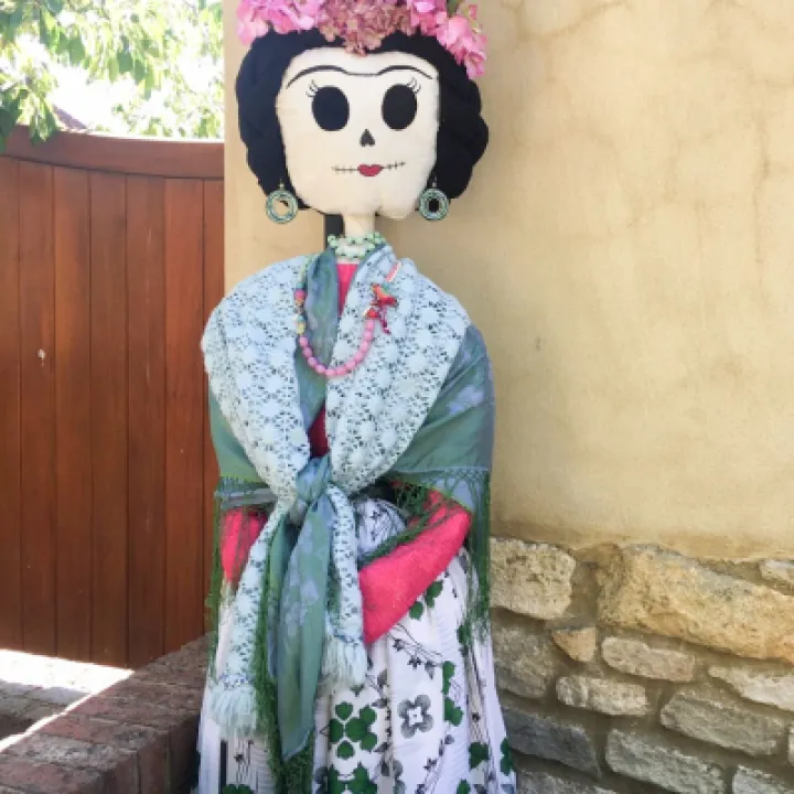 Image: 028 Kerry Pybus Flamboyant Frida 02