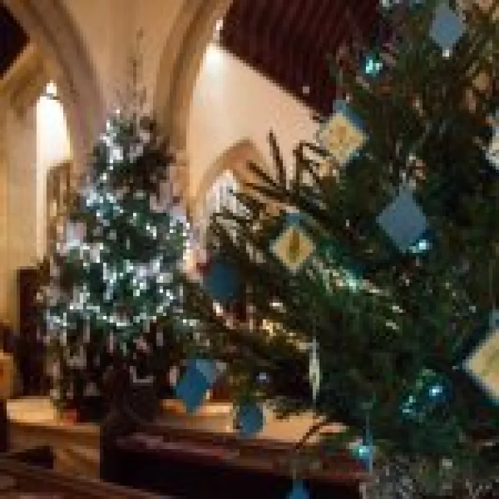 Christmas Tree Festival 04