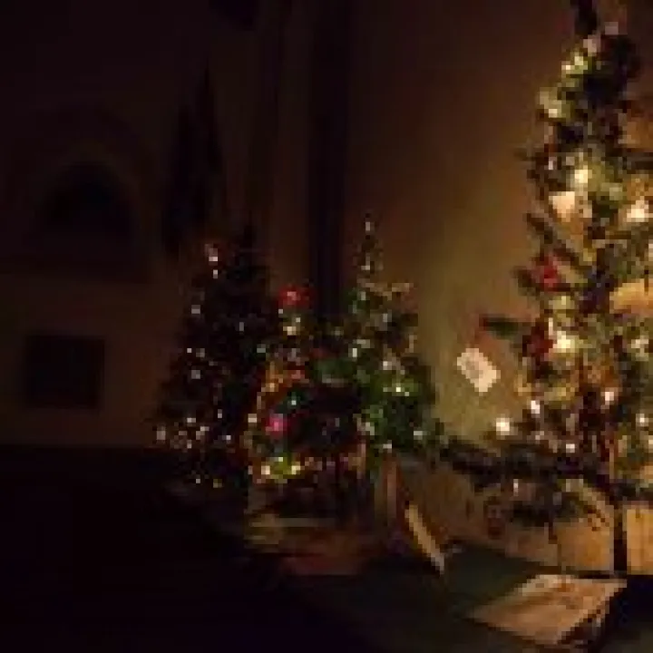 Christmas Tree Festival 11