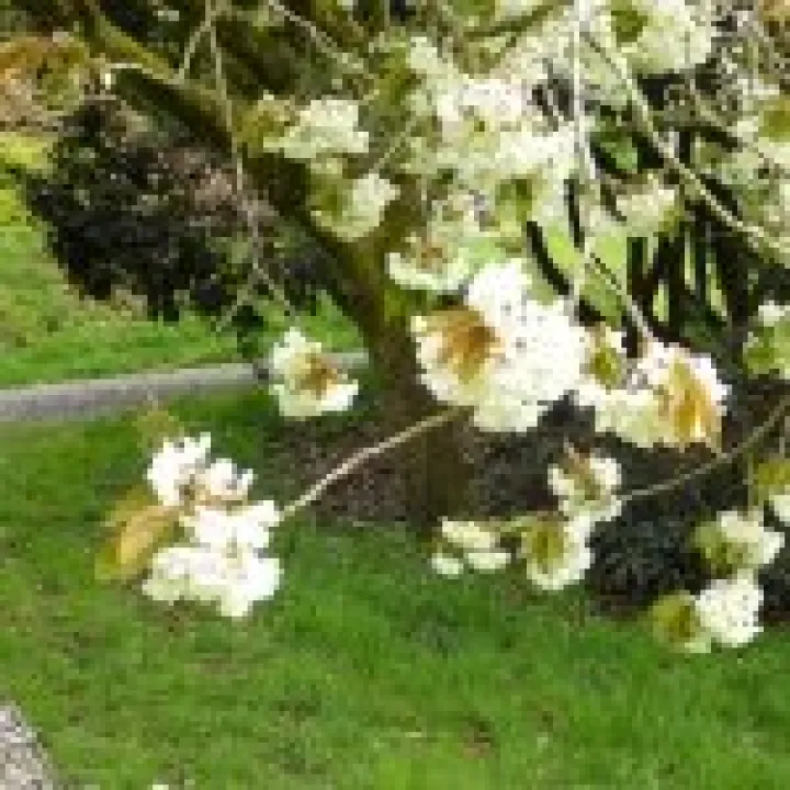 P1010577