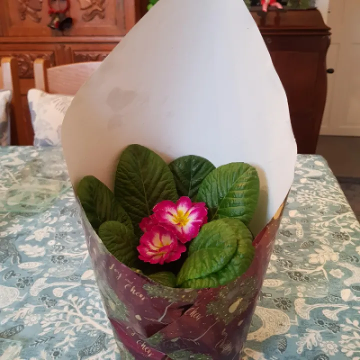 Image: 20201202_103045