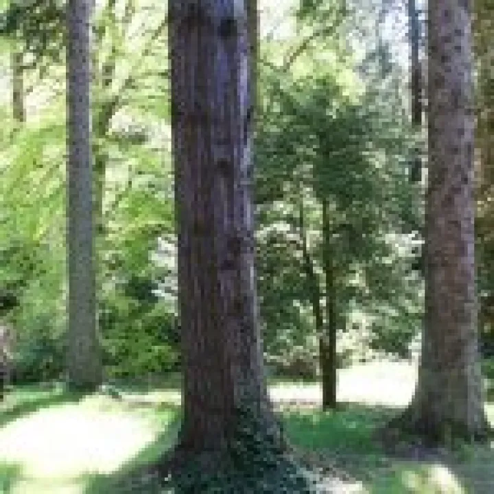 Northumbria 2009 076