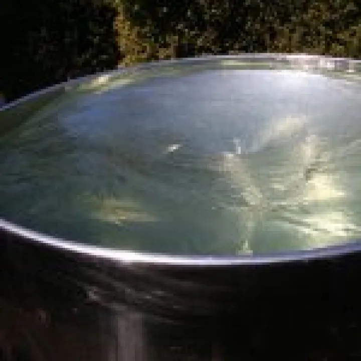 Northumbria 2009 068