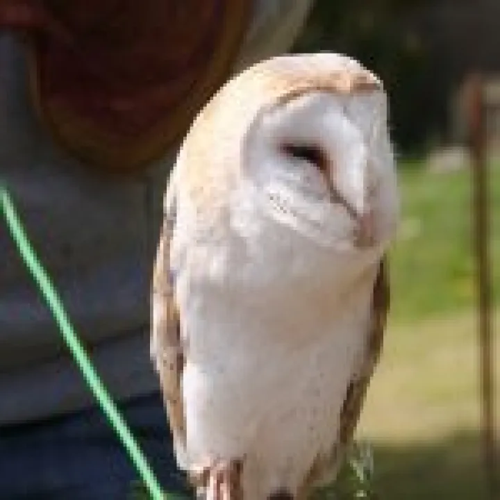 Northumbria 2009 008