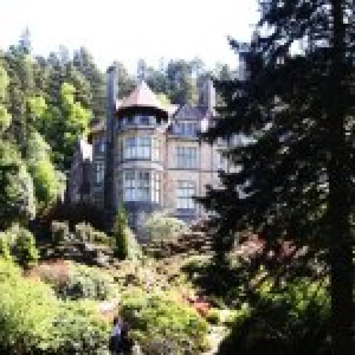 Northumbria 2009 073