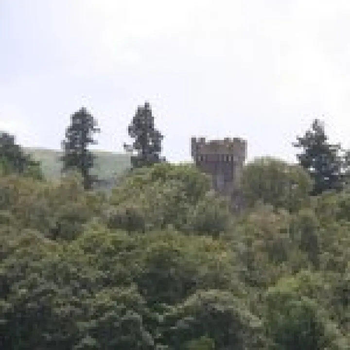 Canon 350D Feb2010 408