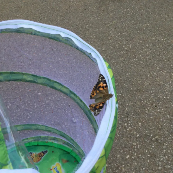 Image: 4F928976-37FB-42E6-8B13-6135942BFA10