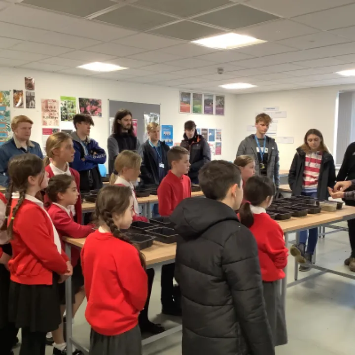 A7C56B9E-9FC4-4D34-902A-1EE8C82EEC11