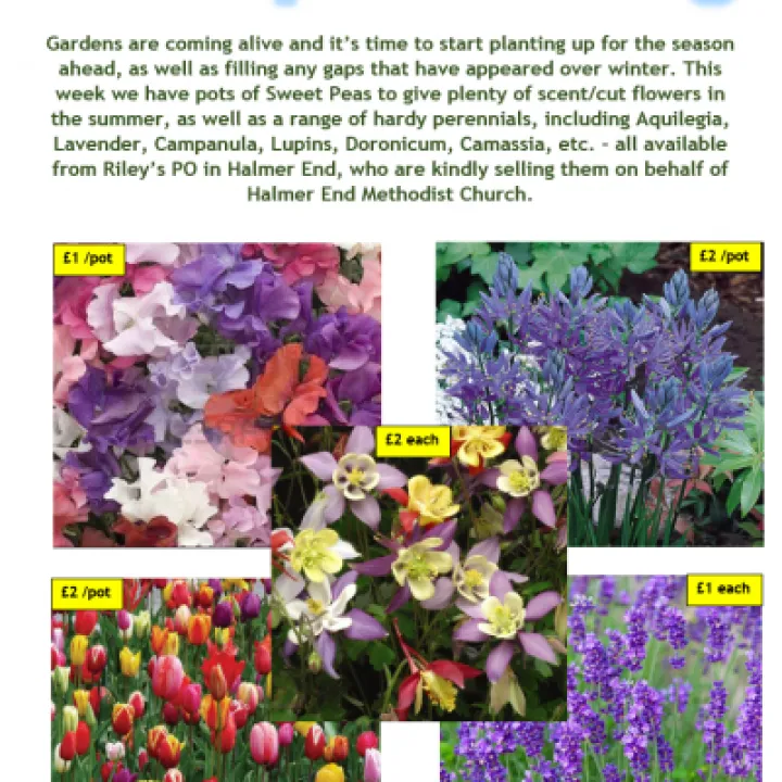 Rileys Flyer 4th April 2022