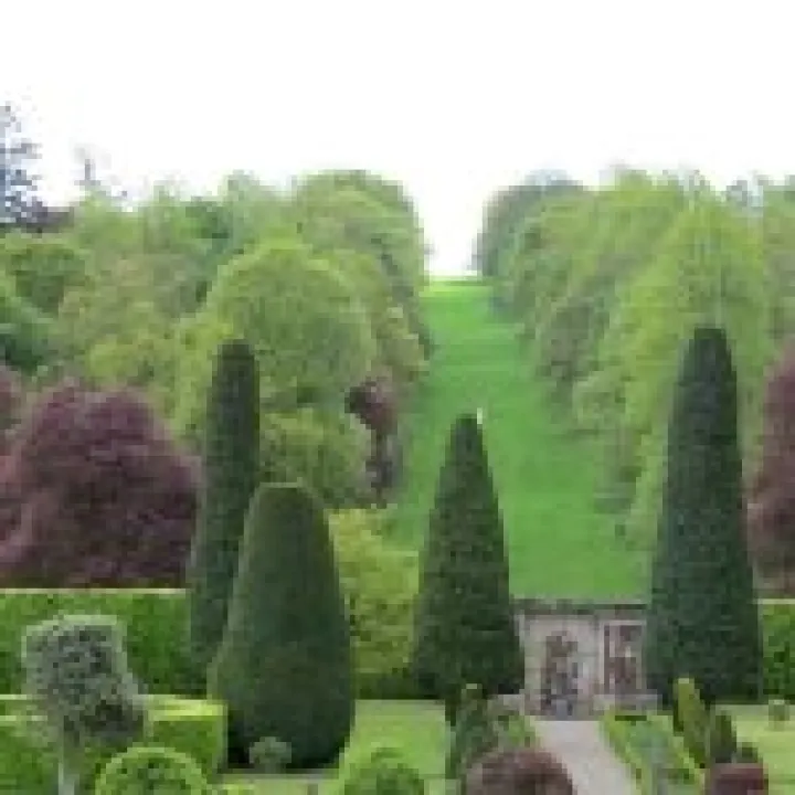 Drummond Gardens jpg11